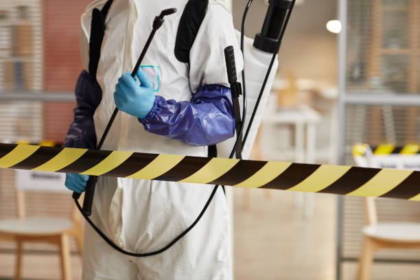 Professional Odor Removal technician working in Webster, IN